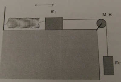Fisica 1