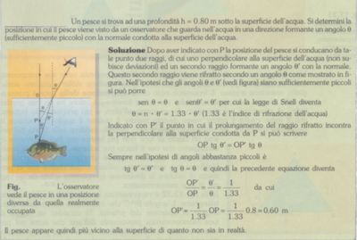 pesce in acqua