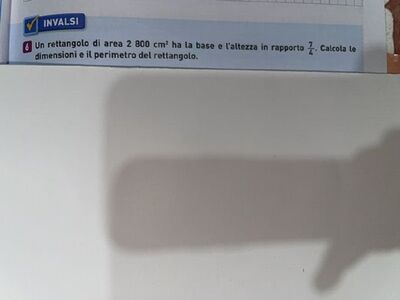 image (1)
