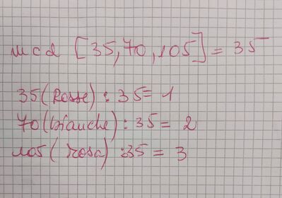 Immagine WhatsApp 2024 05 08 ore 15.03.22 6f6046a7