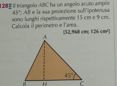 IMG 20240314 142533