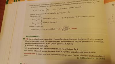 IMG 1677167027222