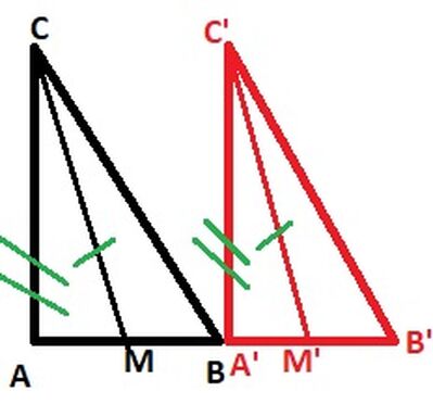 triangoli rett