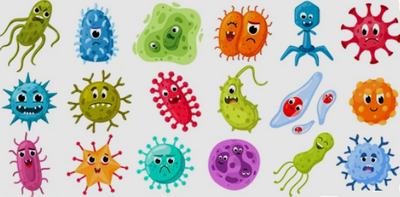 Virus e batteri