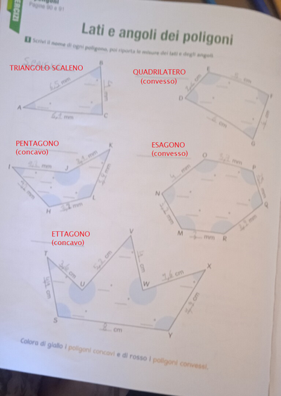 poligoni concavi e convessi