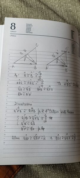 IMG20250426134239