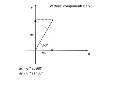 vettorexy