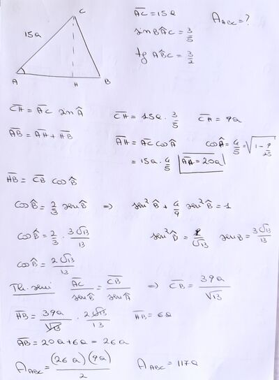 IMG 2447