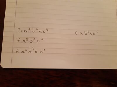 20241209 174234