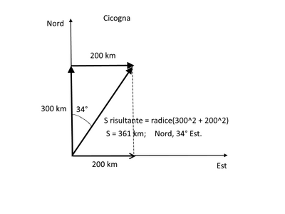 cicogna