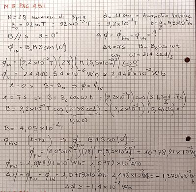 Es 8 pag 451 cap 21 NA