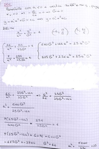 IMG 7918