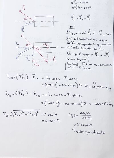 IMG 7590