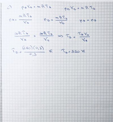 IMG 7980