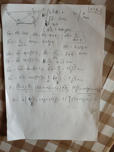 IMG 20220610 173814