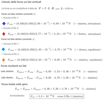 Forza magnetica su spira tra fili 2