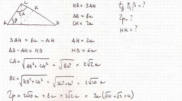 Trig rett 07 a