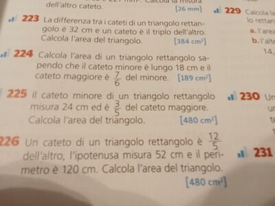 IMG20250211202028