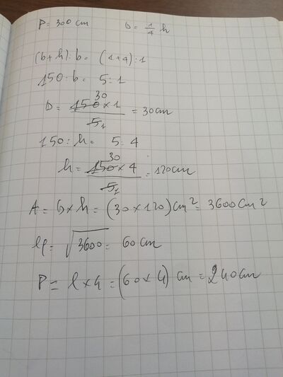 16935809344084295169861098432786