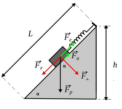 image (4)