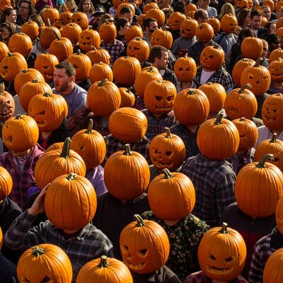 Zucconi