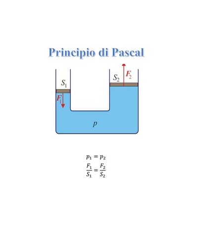 pascal t