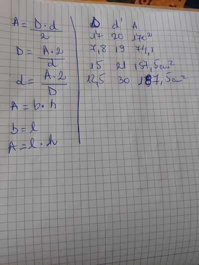 Immagine WhatsApp 2024 01 07 ore 09.36.40 ac55ea38