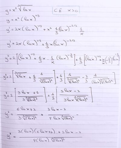 IMG 7793