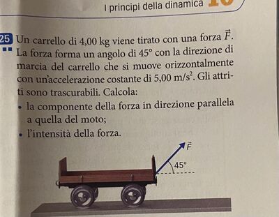 photo 6039419794744261506 y