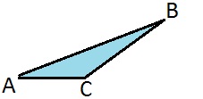 81