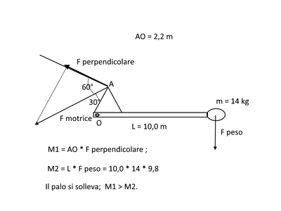 Palo