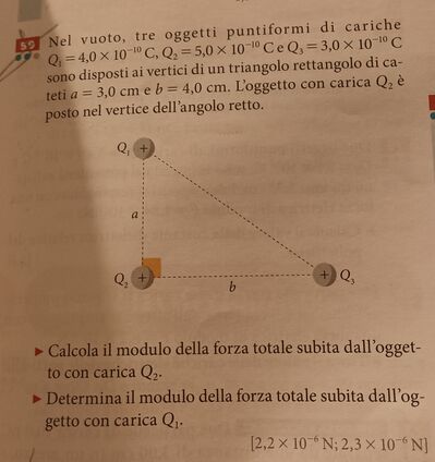 IMG 20260205 182656