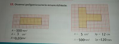 IMG 20241116 181400