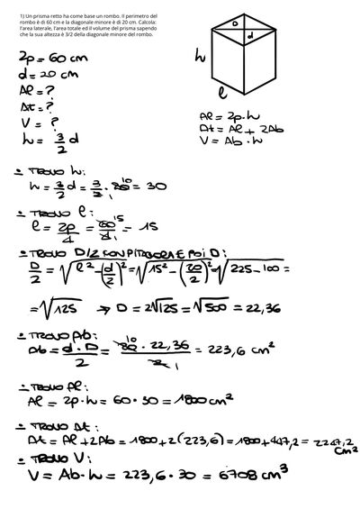 IMG 2629
