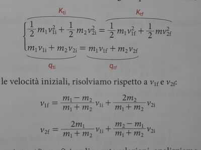 Immagine WhatsApp 2024 11 24 ore 17.02.44 78a26c59