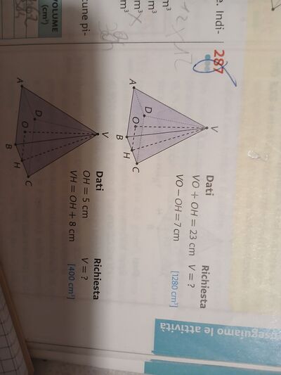 17398261423291864281517746067238