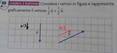 es86 vettori