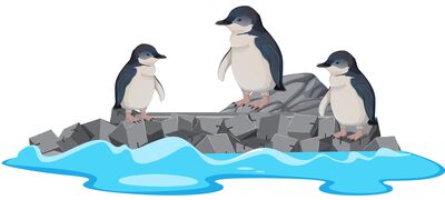 Pinguini