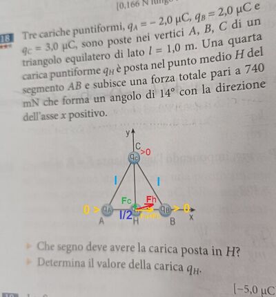 tracc qh