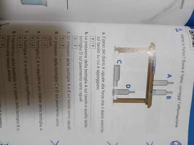IMG 1692531729017