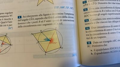 Immagine WhatsApp 2024 05 22 ore 15.46.06 e86692dc