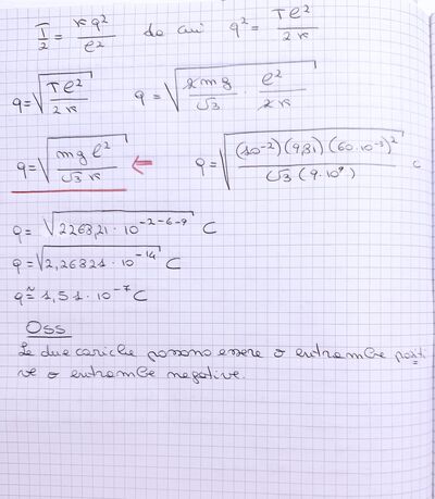 IMG 3744