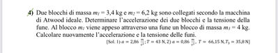 IMG 2324