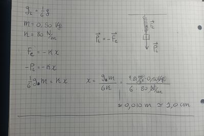 IMG 20241208 134443