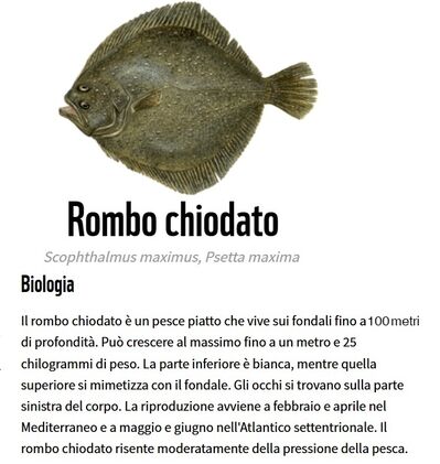 Rombo chiodato nella Guida WWF.  www.wwf.ch