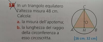 Pro Geometria n18