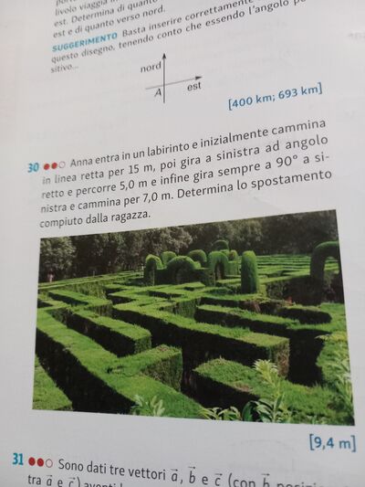 20241205 173357