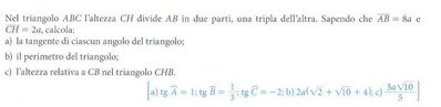 Screenshot 2024 02 24 alle 19.53.34