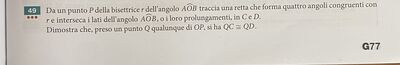 IMG 1779