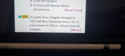 17390121616481432864857398761219